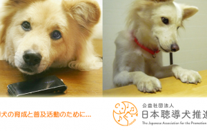 公益社団法人 日本聴導犬推進協会