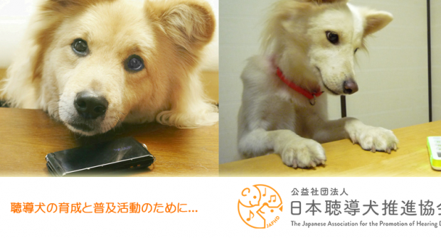 公益社団法人 日本聴導犬推進協会